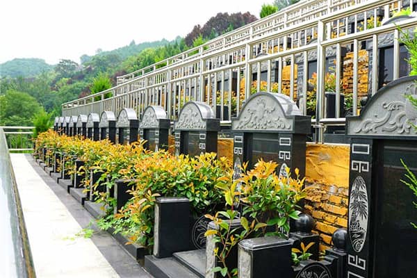 在寿阳山墓园,如果墓穴周围的绿化出现了病虫或枯死等问题,应该如何处理?