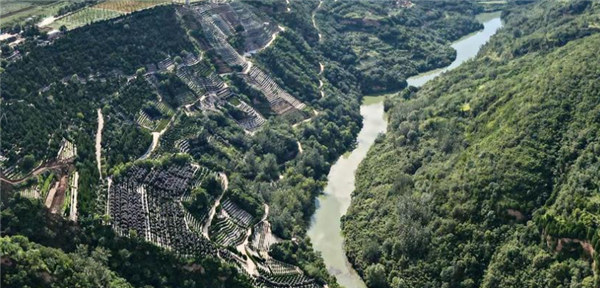 如果我选择自驾前往西安寿阳山公墓,有哪些比较便捷的路线可以选择,各自的特点是什么?