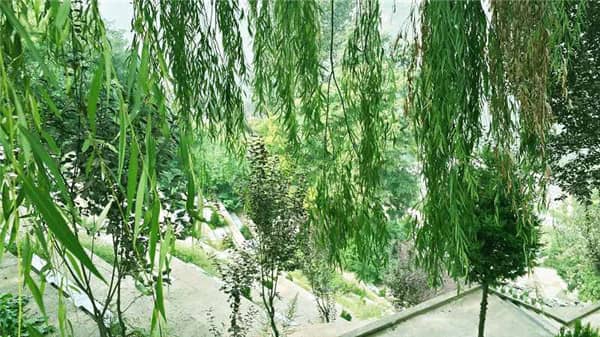 西安寿阳山公墓能否烧纸 西安市寿阳山墓园扫墓预约
