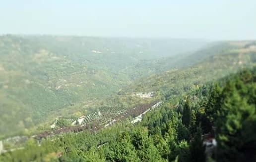 西安寿阳山公墓墓园的具体位置在哪里,周边环境如何?