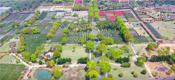 西安寿阳山墓园的花坛葬服务具体包括哪些内容,如何确保花坛的长期整洁与美观?