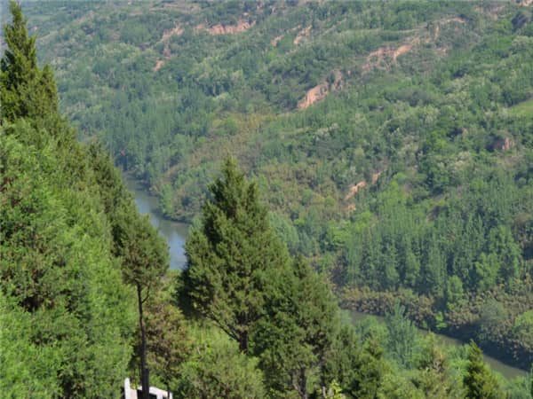 寿阳山墓园西安地址在那