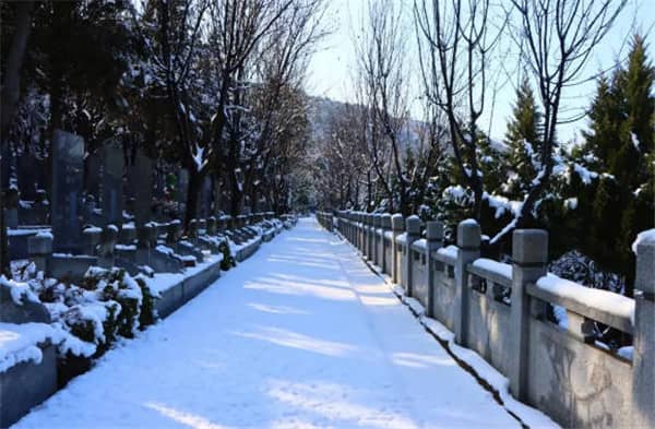西安寿阳山墓园提供代客祭扫服务吗?