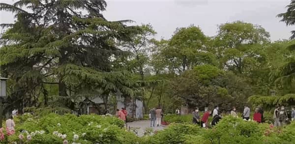西安寿阳山墓地正规吗,告别孤单的终极选择