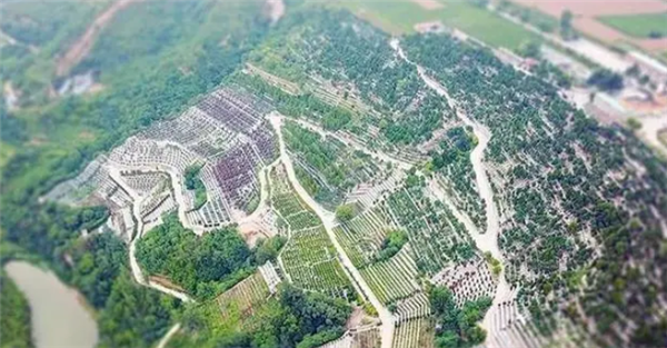 寿阳山墓园如何提供便捷的园区参观服务？