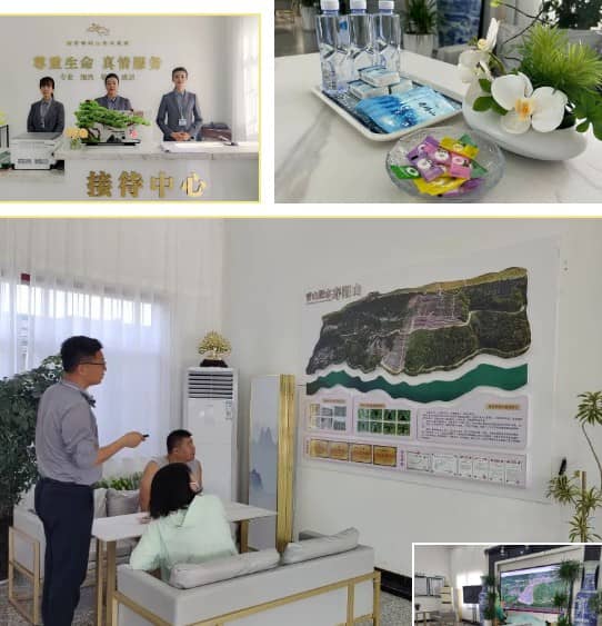 西安寿阳山墓园樱花区美景与氛围全览:粉色花海与心灵慰藉