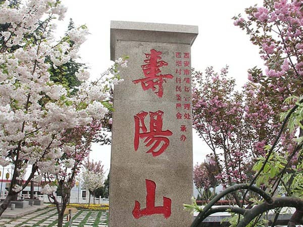 如何前往西安寿阳山墓园,是否有免费班车服务?