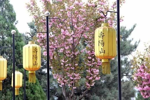 在西安市区，乘坐哪几条公交线路可以到达西安寿阳山公墓，并且请说明具体的换乘和步行流程？