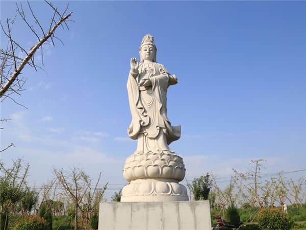 西安寿阳山墓园如何确保花坛葬服务的专业性和可持续性?