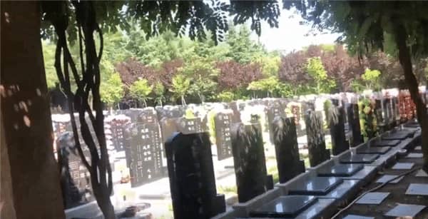 鲸鱼沟墓园距离西安的具体里程与交通建议