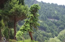 在重阳佳节期间,西安寿阳山墓园为访客提供了哪些独特的体验活动?