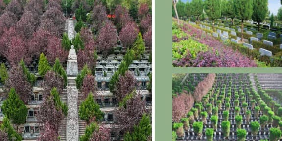 西安寿阳山墓园在中元节期间有哪些传统的节日习俗活动?