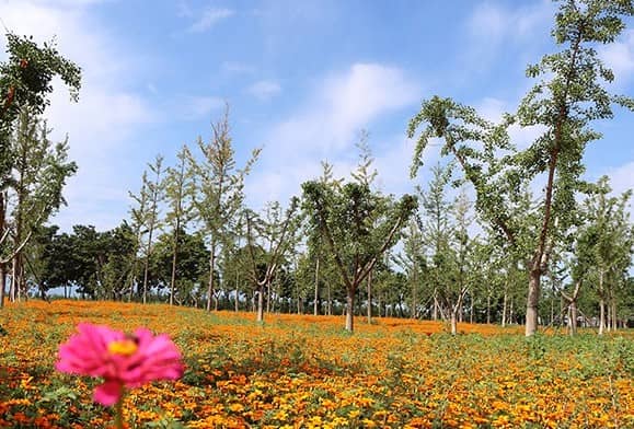 如何方便地前往西安寿阳山墓园?
