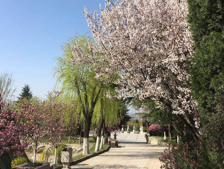 西安长安慈恩园墓园北门景观美图欣赏与实地探访攻略