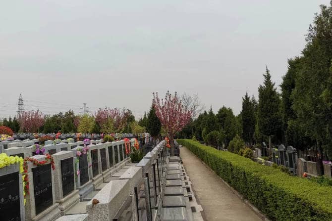 清明节期间，如何预约进入枣园山墓进行祭扫活动？
