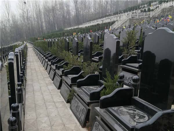 九龙山公墓是否提供骨灰寄存服务，如何办理相关手续？