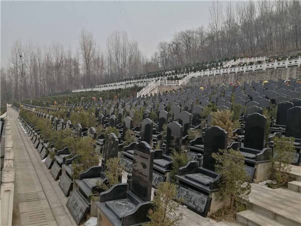 西安九龙山公墓在壁葬服务的维护和管理上有哪些措施?