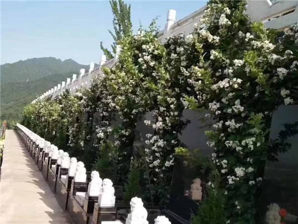 花坛葬西安九龙山公墓是如何实现的?