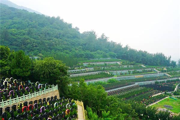 西安九龙山公墓中的九真台墓区有何特别之处?其名称背后有何传说或寓意?