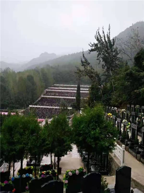 西安九龙山公墓的环境和绿化情况如何?