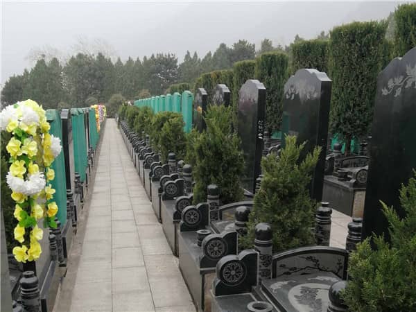 在选择西安九龙山公墓的生态葬时,有哪些因素会影响价格?