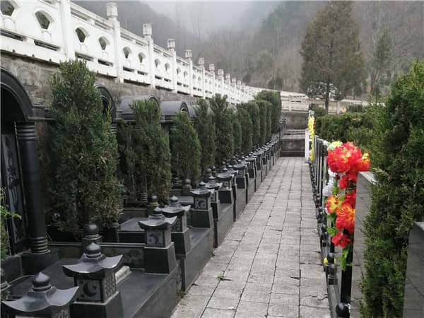 西安九龙山墓园提供哪些交通方式供家属前往参观?