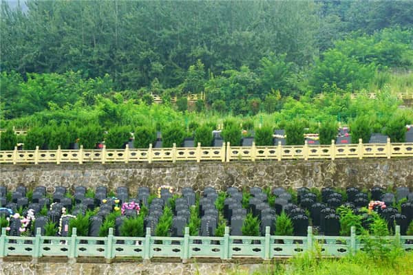 如何便捷到达九龙山公墓?