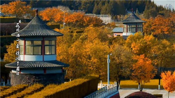 西安霸陵墓园骨灰盒选择与服务指南