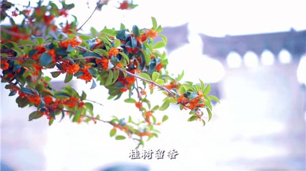 西安市霸陵墓园新区,心灵自由的放逐地