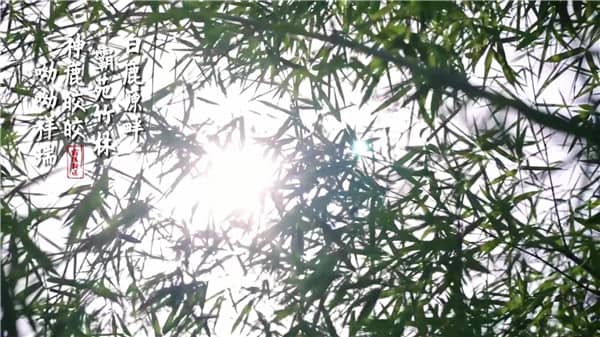 西安霸陵墓园位于西安市的哪个区域,其周边环境如何?