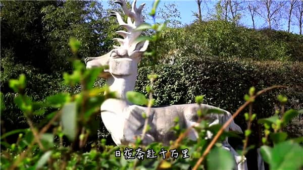 西安霸陵墓园新区价格范围:透明合理,选择多样