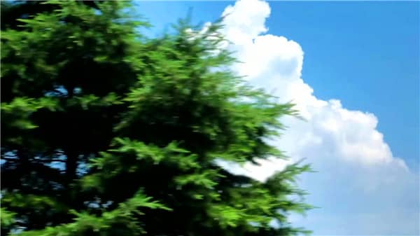 西安霸陵墓园在哪个区县