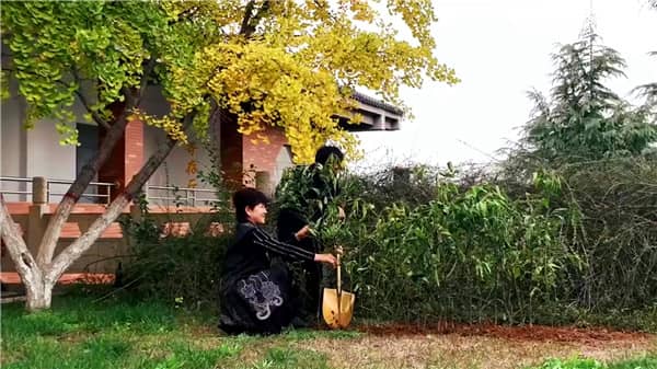 西安霸陵墓园新区怎么样,选购攻略全面解读!