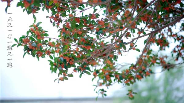 西安的霸陵墓园新区怎么样