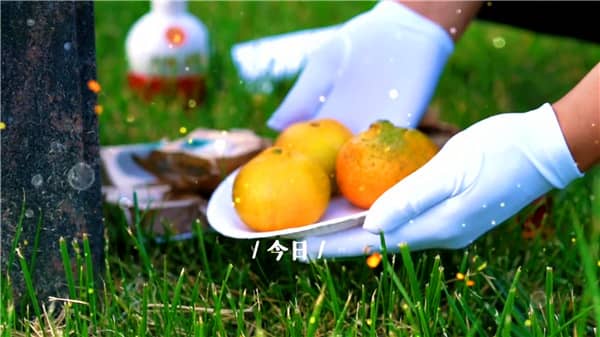 西安霸陵墓园高端定制服务解析