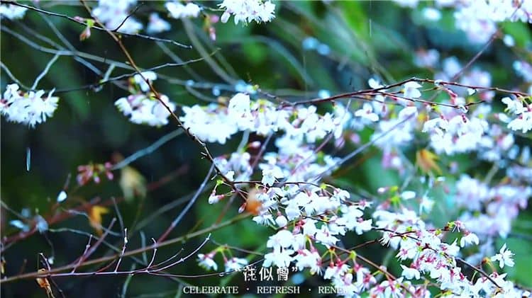 霸陵墓园新区有哪些特色?