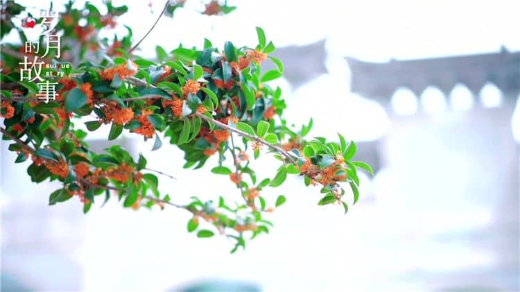 西安霸陵陵园的环境如何，对逝者和家属有何特殊意义？