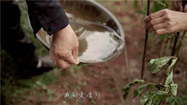 西安霸陵墓园堵车情况怎么样