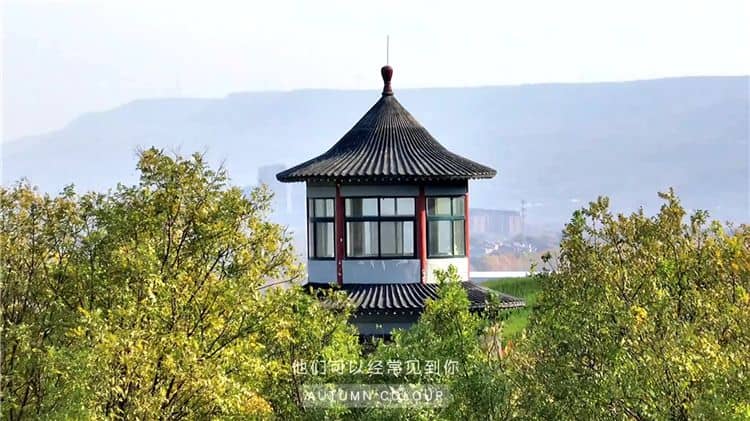 西安霸陵墓地多少钱？新区墓地位置地址