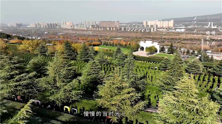寒衣节祭故人 风雪亦有情 西安霸陵墓园新区