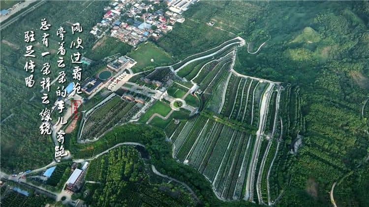 西安霸陵墓园新区:殡葬服务的优质选择