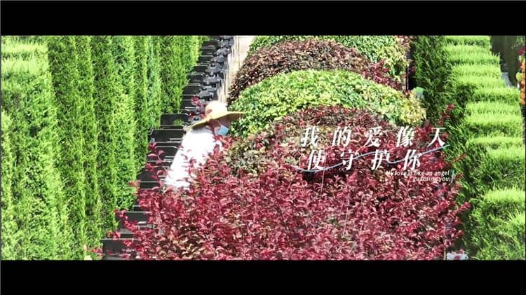 西安霸陵墓园新区,西安霸陵墓园新区的介绍与特色