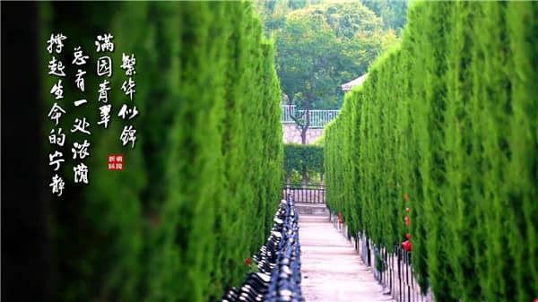 霸陵墓园在什么地方