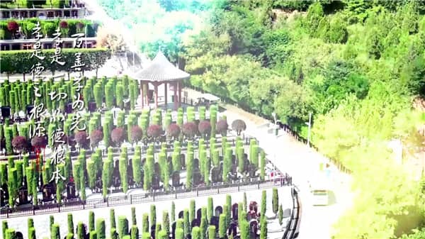 西安霸陵墓园新区-九九重阳日 浓浓敬老情