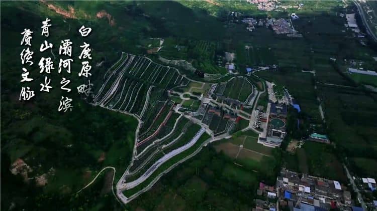 如何根据西安霸陵墓园新区的地址信息，规划前往该墓园的交通路线？
