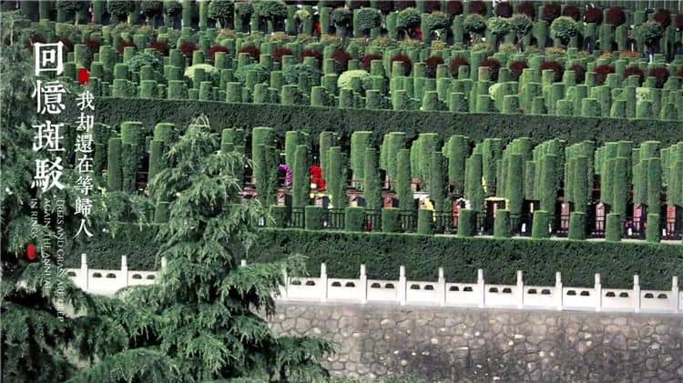 西安霸陵新区墓园工作时间，必看