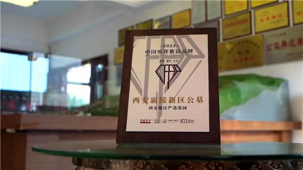 霸陵陵园几点开门