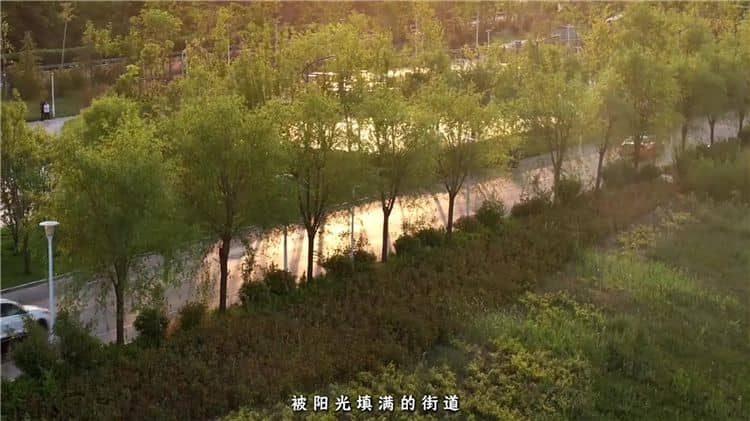 西安霸陵墓园有哪些墓型可供选择