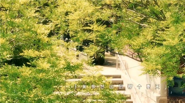 西安霸陵陵园的树葬服务价格是多少