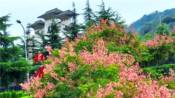 西安霸陵墓园在哪预约,选购攻略全面解读!
